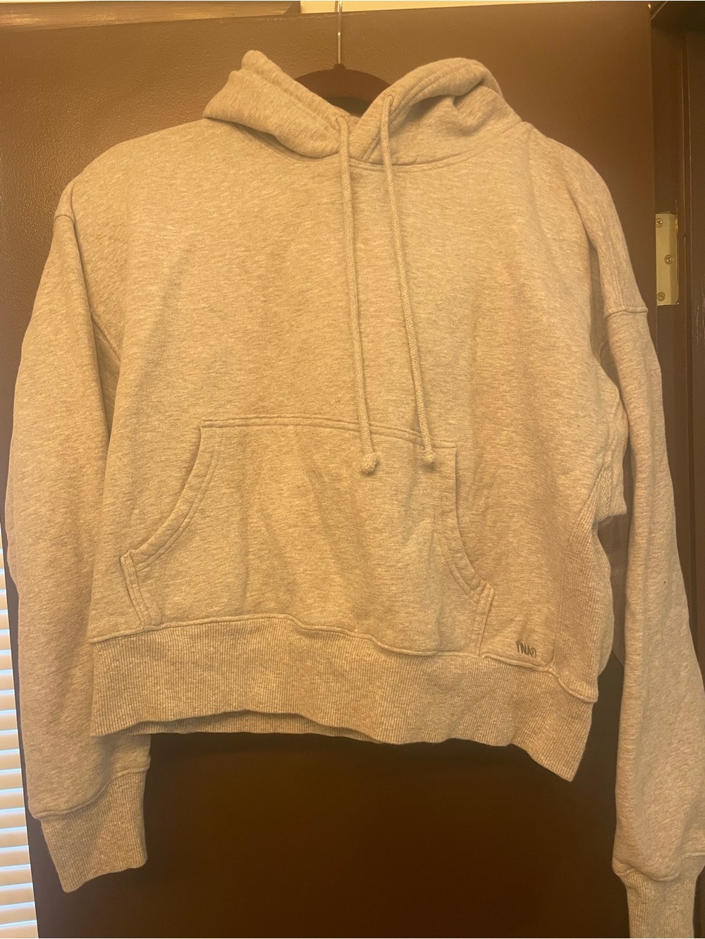 Aritzia’s TNA brand grey sweatshirt